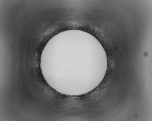 X0000101231253200807251126