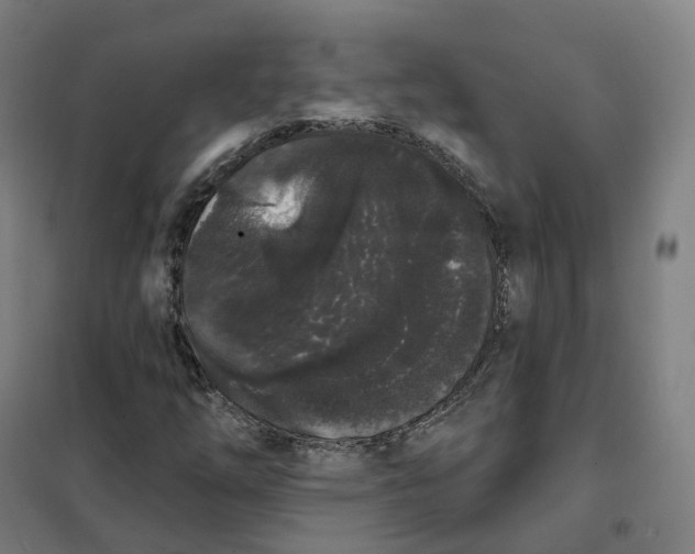 X0000101231254200807251126
