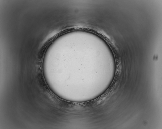 X0000101231255200807251126