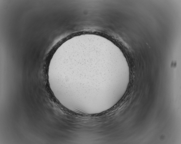 X0000101231256200807251126