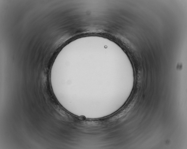 X0000101231257200807251126