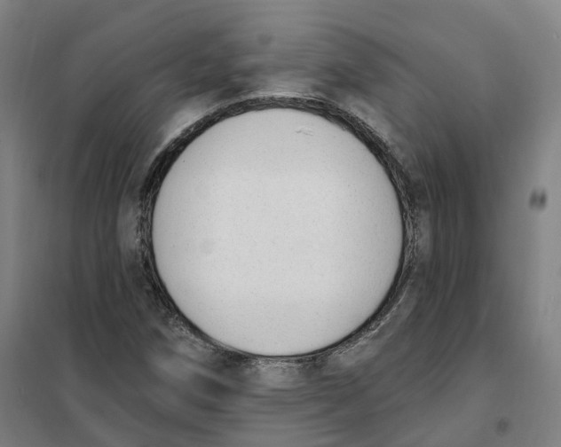 X0000101231258200807251126