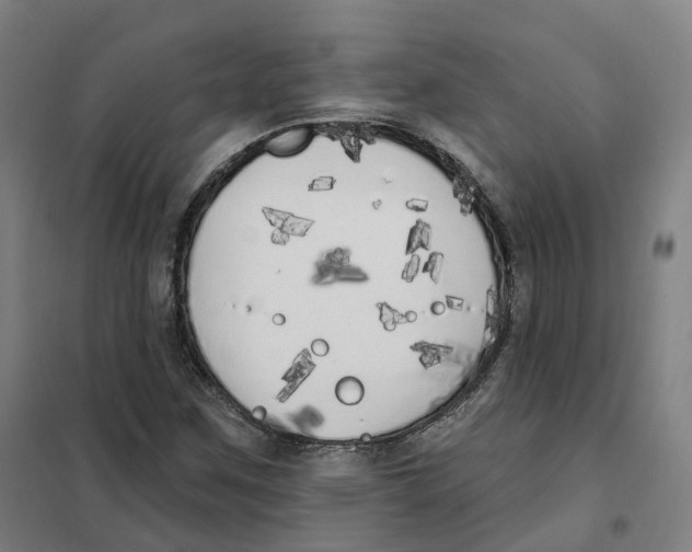 X0000101231259200807251126