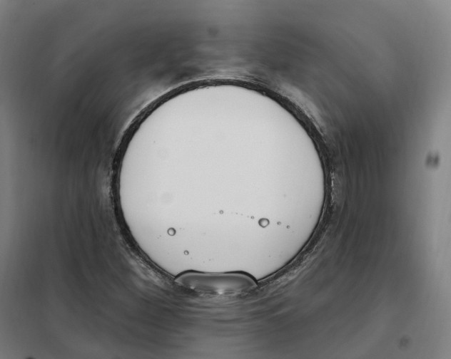 X0000101231260200807251126