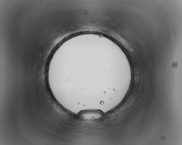 X0000101231264200807251126