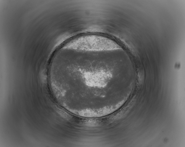 X0000101231266200807251126