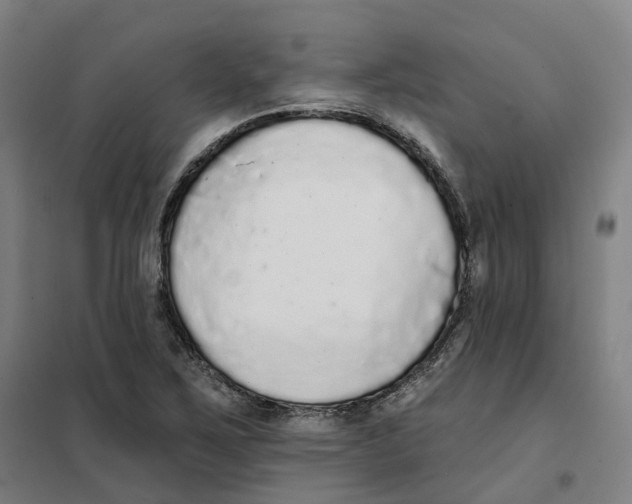 X0000101231267200807251126