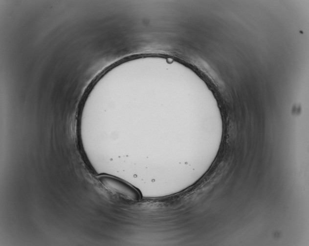 X0000101231268200807251126
