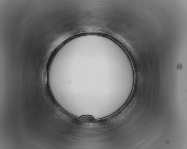 X0000101231269200807251126