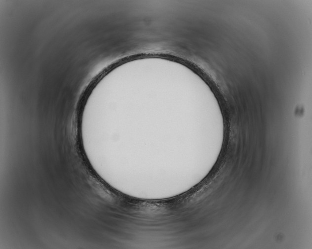 X0000101231270200807251126