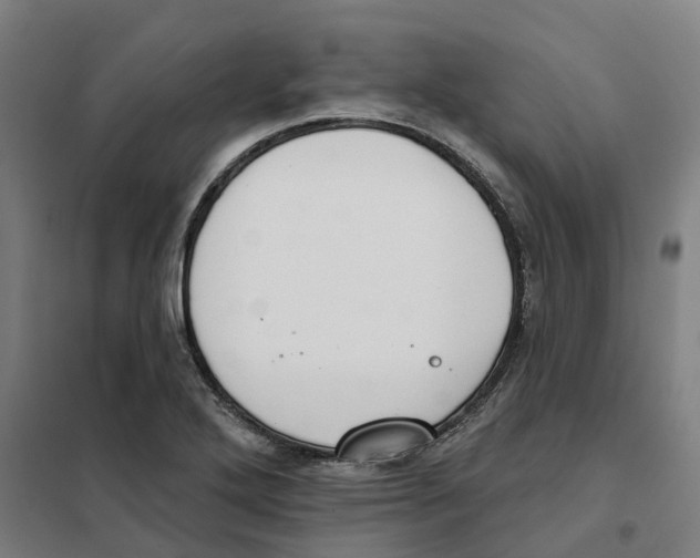 X0000101231272200807251126