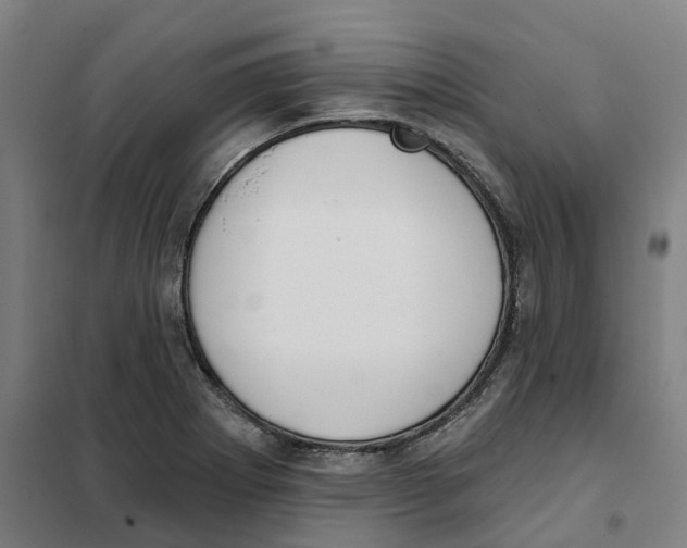 X0000101231273200807251126