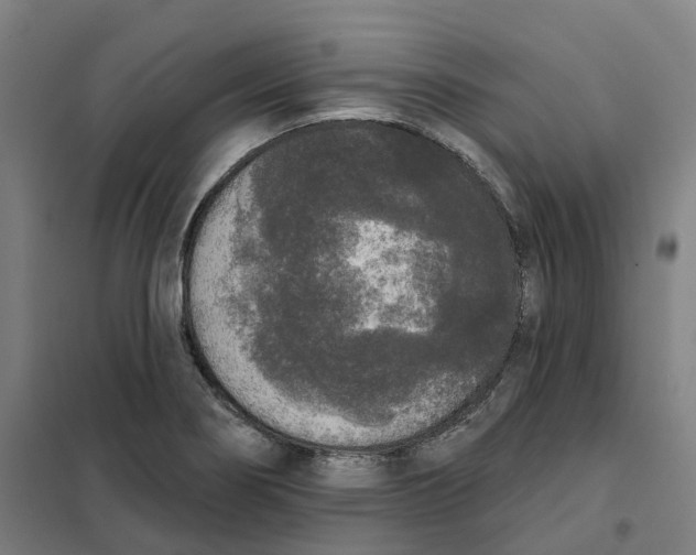 X0000101231274200807251126