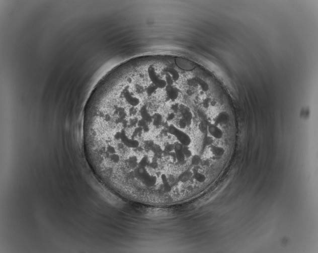 X0000101231275200807251126