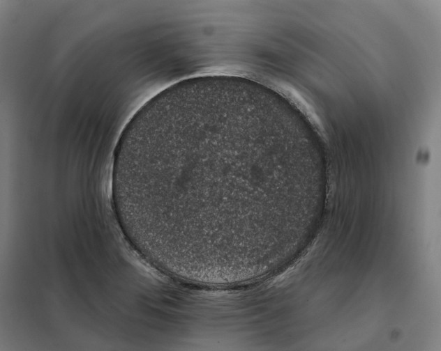 X0000101231276200807251126