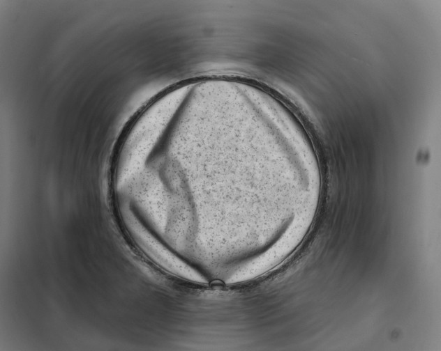 X0000101231277200807251126