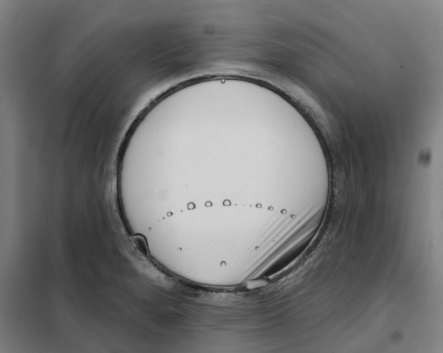X0000101231280200807251126