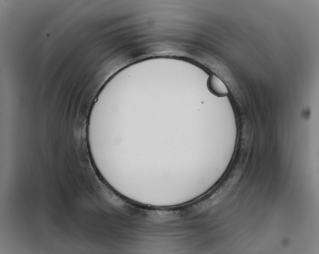 X0000101231281200807251126