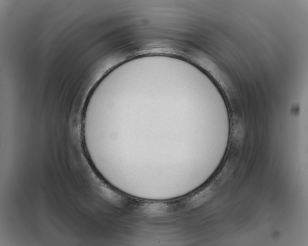 X0000101231282200807251126
