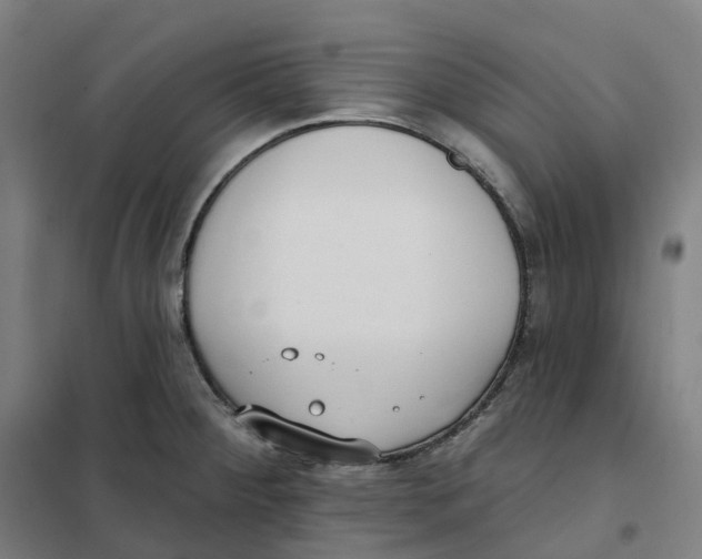 X0000101231284200807251126