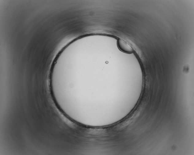 X0000101231285200807251126