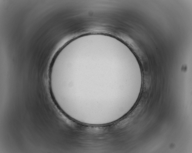 X0000101231286200807251126
