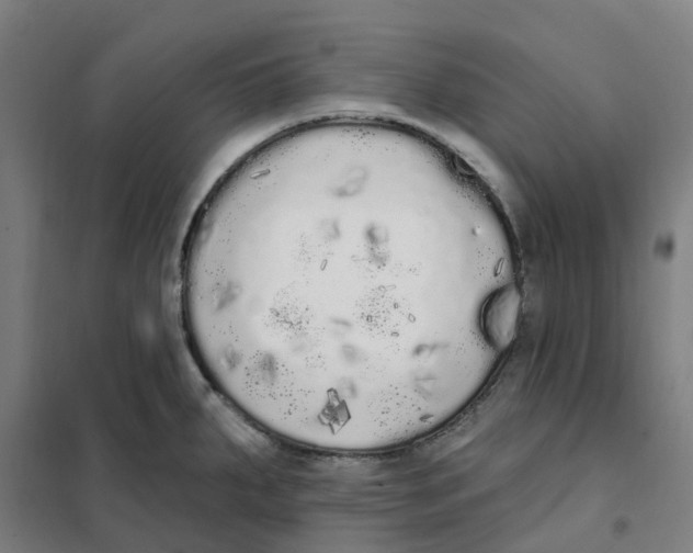 X0000101231287200807251126
