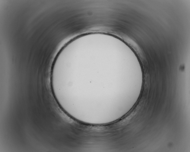 X0000101231288200807251126