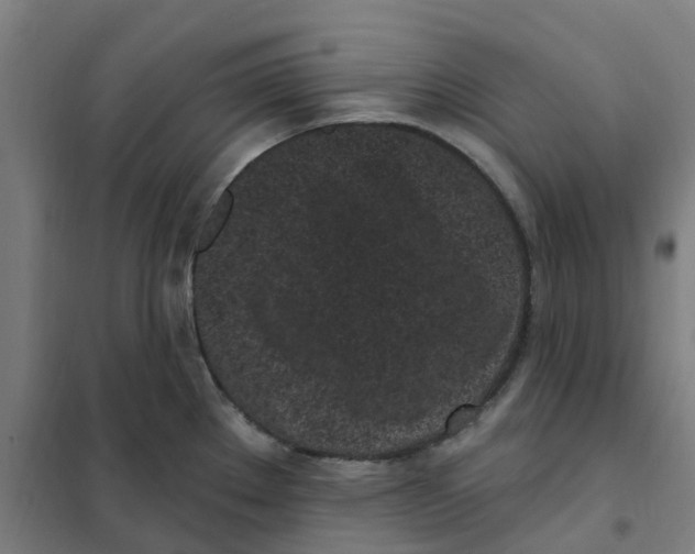 X0000101231289200807251126