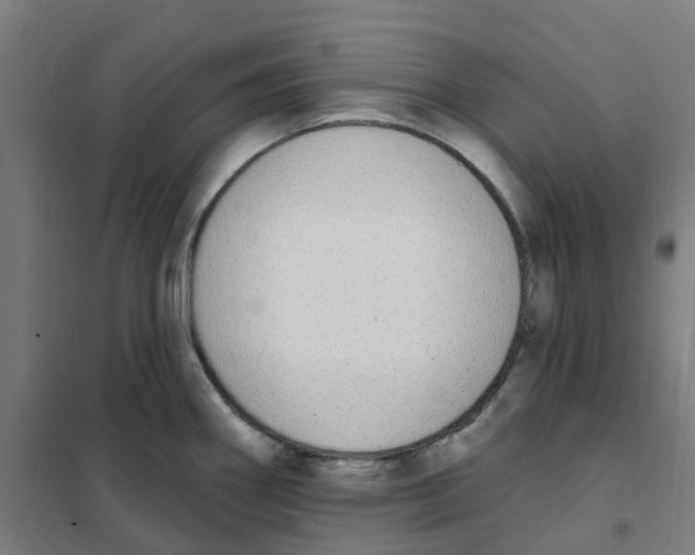 X0000101231290200807251126