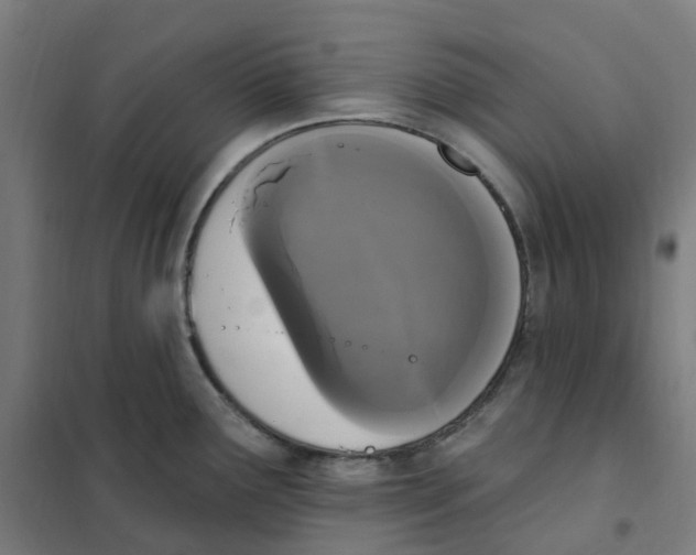 X0000101231291200807251126