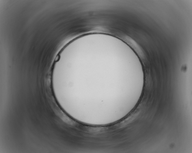 X0000101231292200807251126