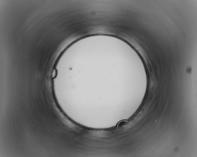 X0000101231293200807251125