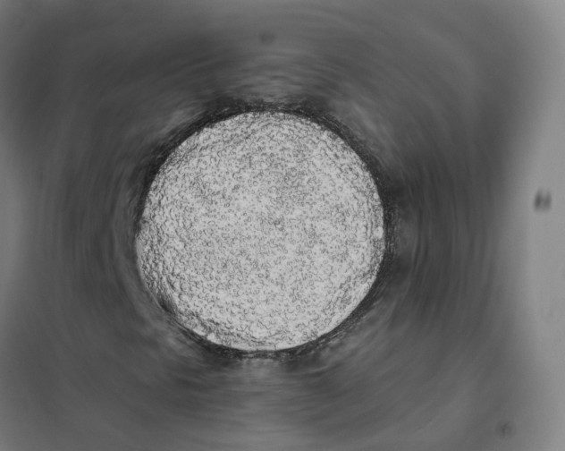 X0000101231297200807251125