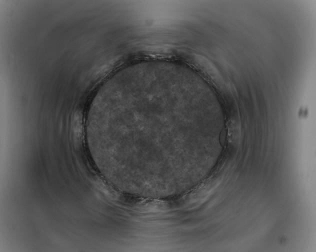 X0000101231298200807251125