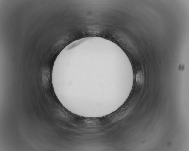 X0000101231299200807251125