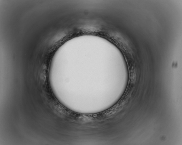 X0000101231301200807251125