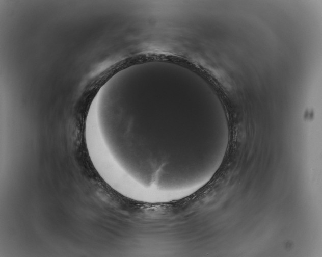 X0000101231303200807251125