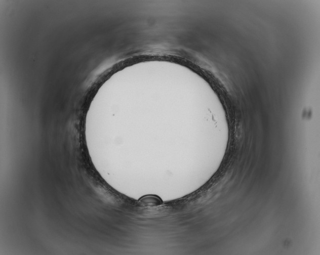 X0000101231304200807251125
