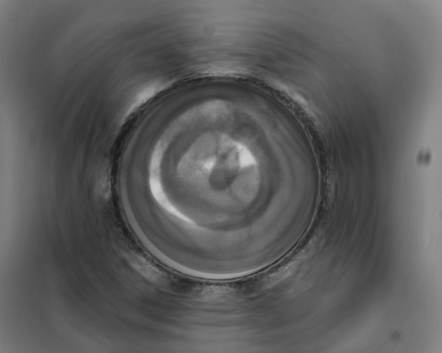 X0000101231306200807251125