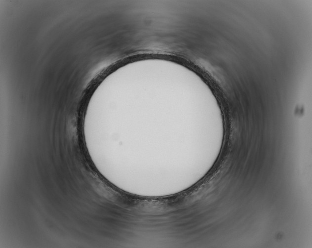 X0000101231307200807251125