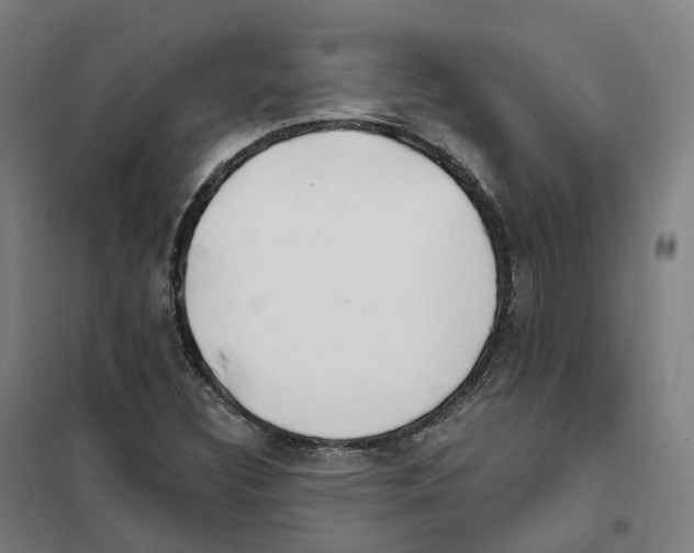 X0000101231308200807251125