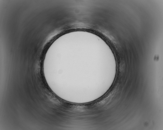 X0000101231309200807251125