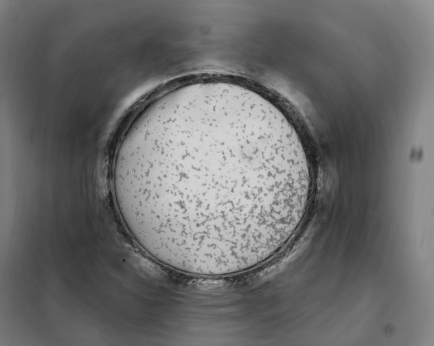 X0000101231310200807251125