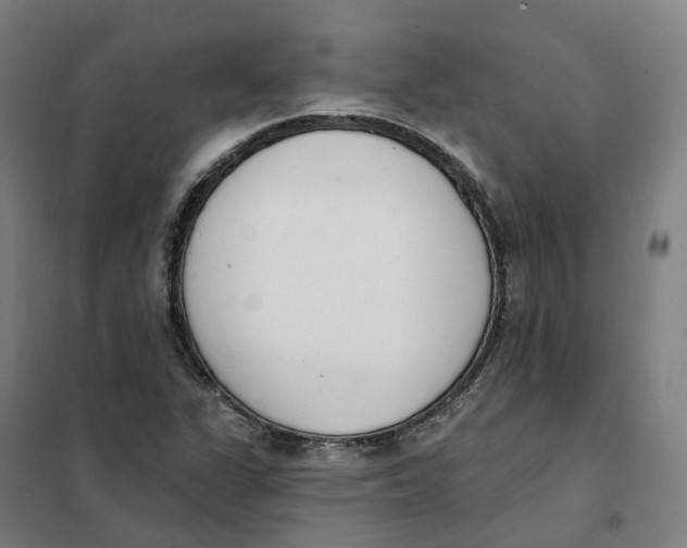 X0000101231311200807251125