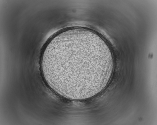 X0000101231312200807251125