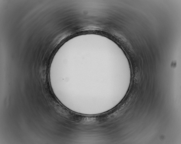 X0000101231313200807251125