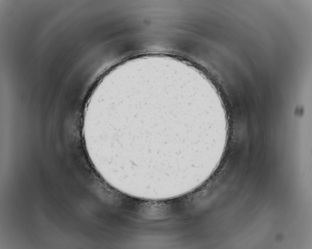 X0000101231314200807251125