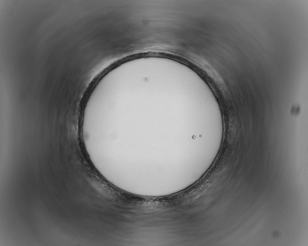 X0000101231316200807251125