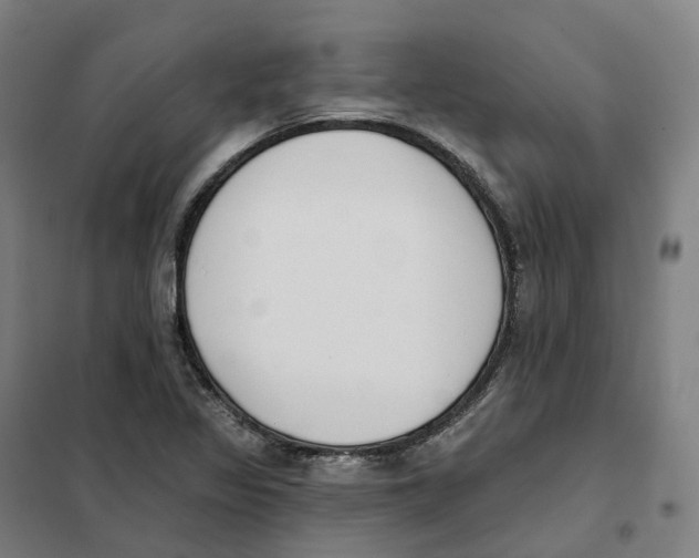 X0000101231317200807251125